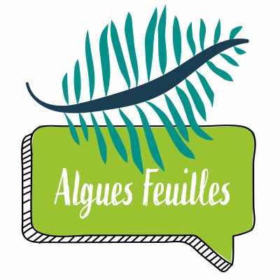 Algues en feuilles